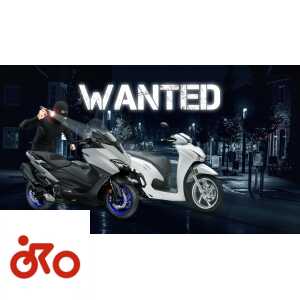 Ritratto di Luca Sabatini