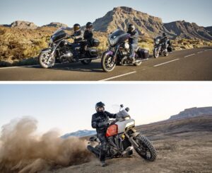 Ritratto di Alessandro Da Rin Betta