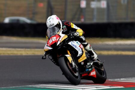 Ritratto di Andrea Periccioli