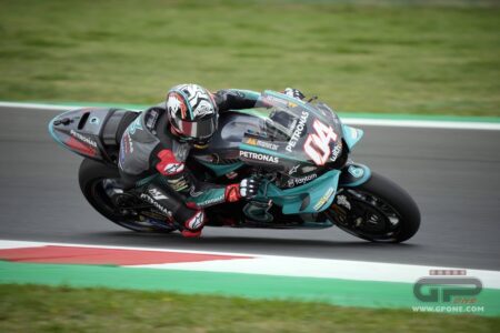 Ritratto di Matteo Aglio