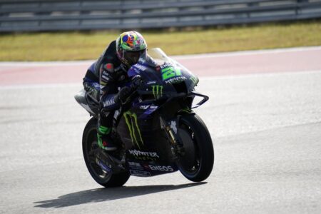 Ritratto di Andrea Periccioli