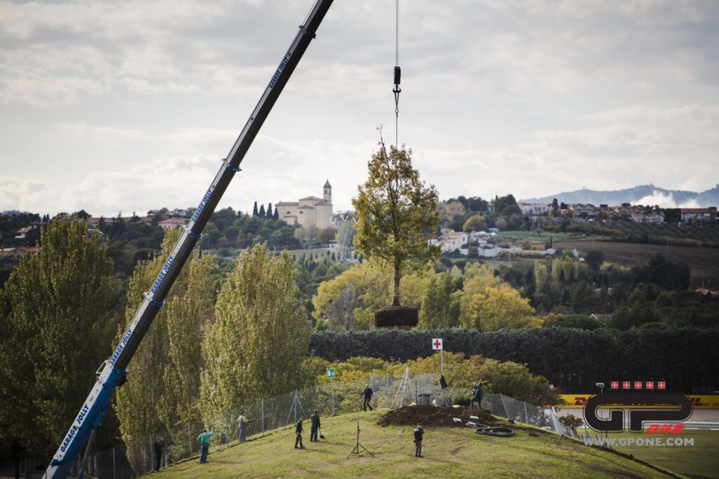 MotoGP, Un chêne en l’honneur et à la mémoire de Marco Simoncelli à Misano Ritratto di GPone
