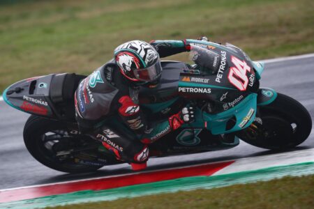 Ritratto di Andrea Periccioli