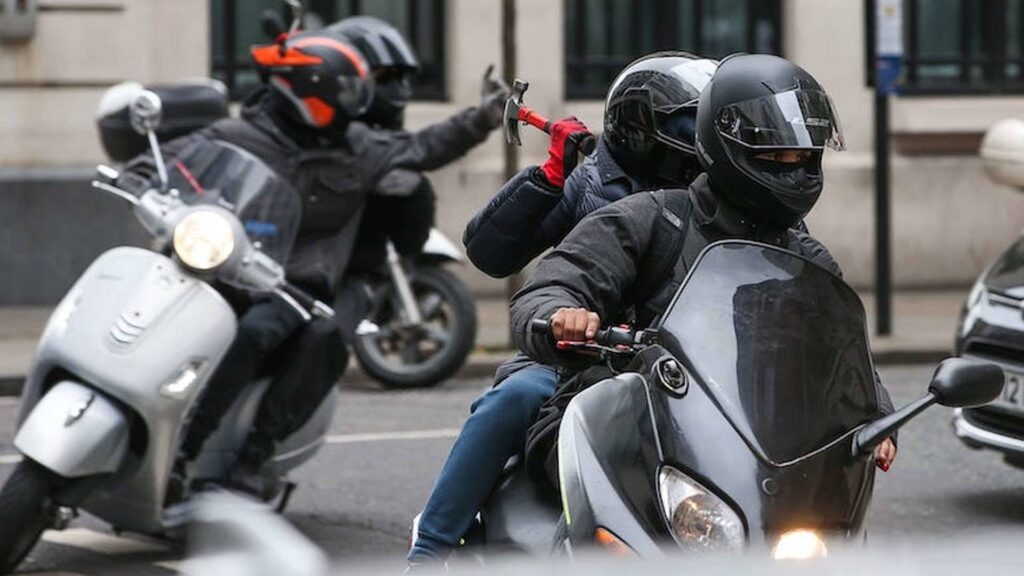 Ils sont filmés sur les réseaux sociaux en train de voler le vélo : l’arrestation est un record Ils sont filmés sur les réseaux sociaux en train de voler le vélo : l'arrestation est un record