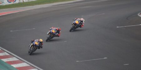 Ritratto di Andrea Periccioli