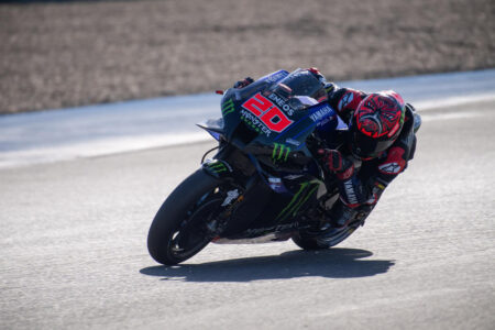 Ritratto di Matteo Aglio