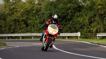 Ritratto di Luca Sabatini