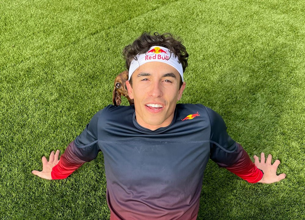 MotoGP, Marquez reprend l’entraînement : la photo de sa “pré-saison” sur les réseaux sociaux Ritratto di GPone
