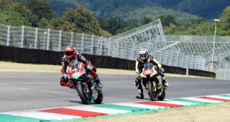 Ritratto di Andrea Periccioli