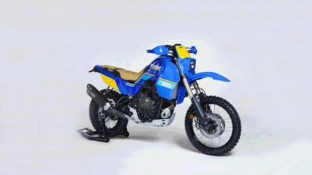 Ritratto di Fabio Caliendo