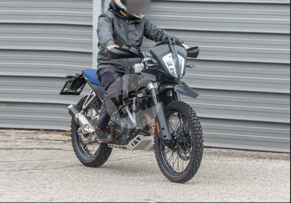 Ritratto di Fabio Caliendo