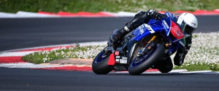 Ritratto di Andrea Periccioli