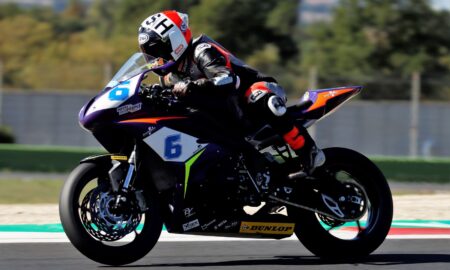 Ritratto di Andrea Periccioli