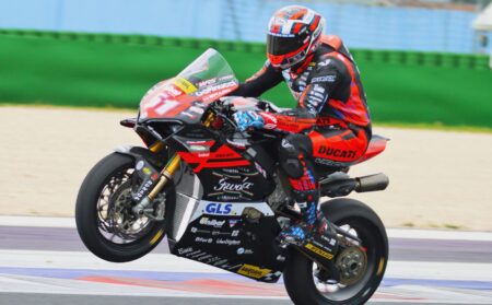 Ritratto di Andrea Periccioli