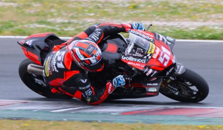 Ritratto di Andrea Periccioli