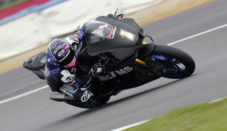 Ritratto di Andrea Periccioli