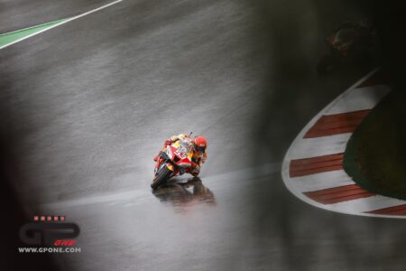 Ritratto di Paolo Scalera