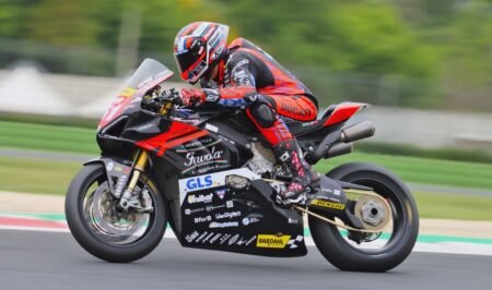 Ritratto di Andrea Periccioli