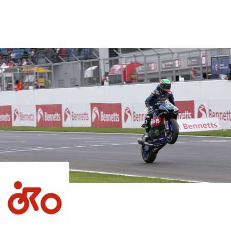 Ritratto di Andrea Periccioli