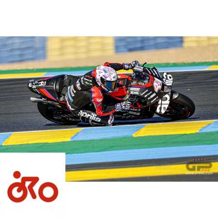 Ritratto di Marco Caregnato