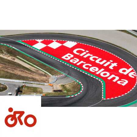 Ritratto di Riccardo Gugliemetti