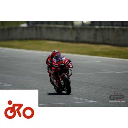 Ritratto di Marco Caregnato