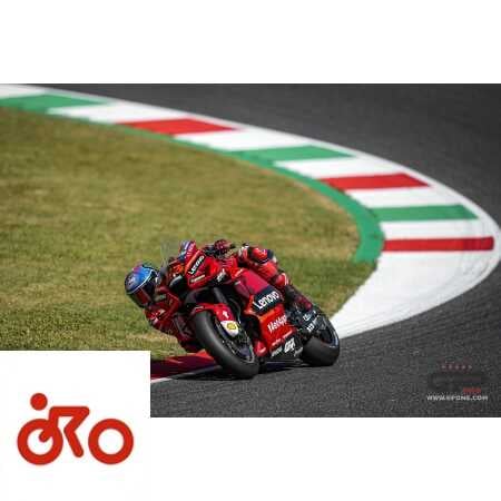 Ritratto di Marco Caregnato