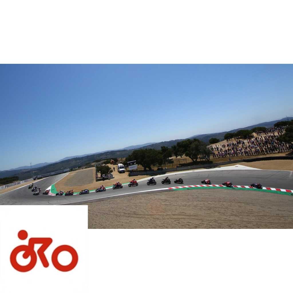 Ritratto di Riccardo Gugliemetti