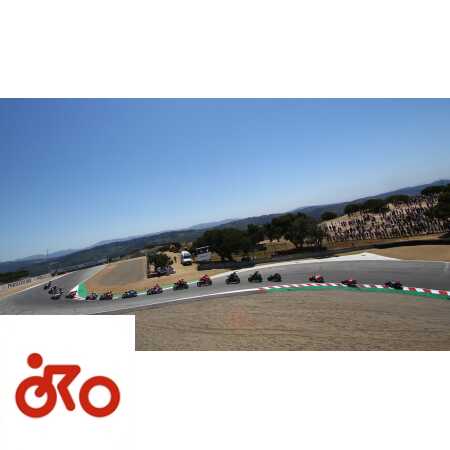 Ritratto di Riccardo Gugliemetti