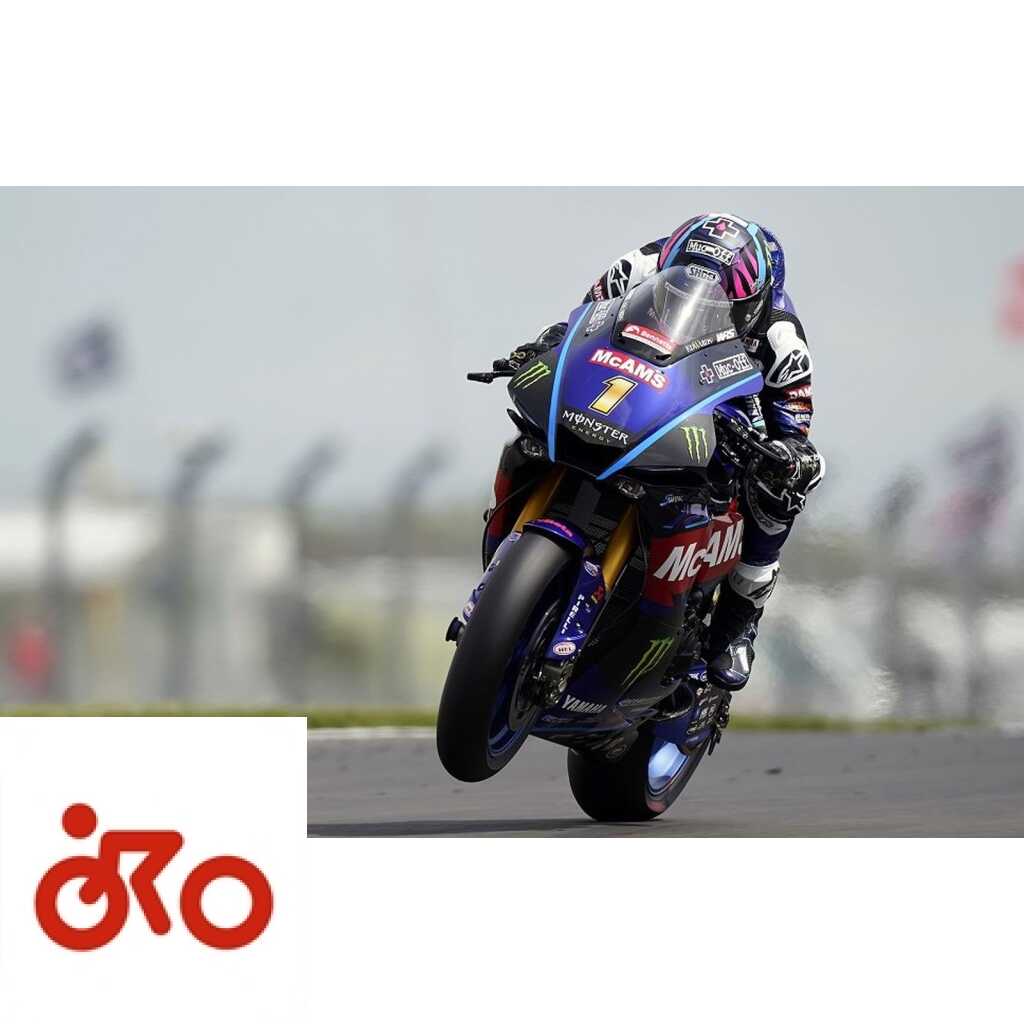 Ritratto di Andrea Periccioli