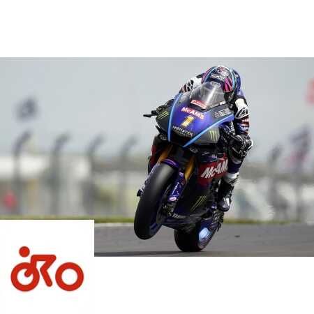 Ritratto di Andrea Periccioli