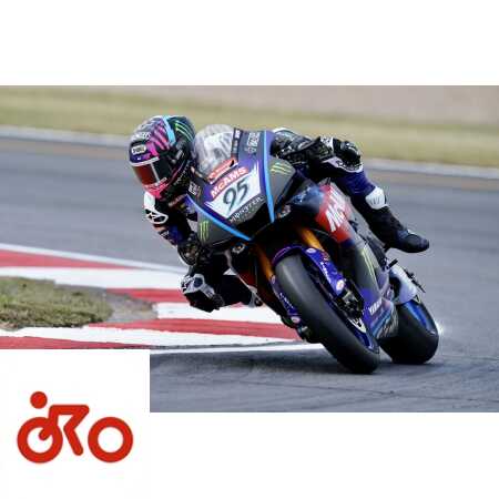 Ritratto di Andrea Periccioli