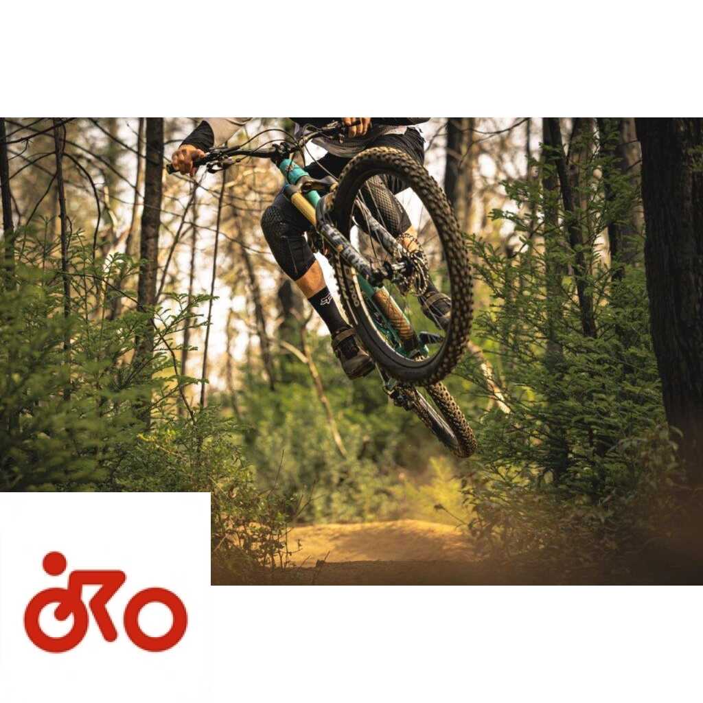 Ritratto di Stefano Aglianò