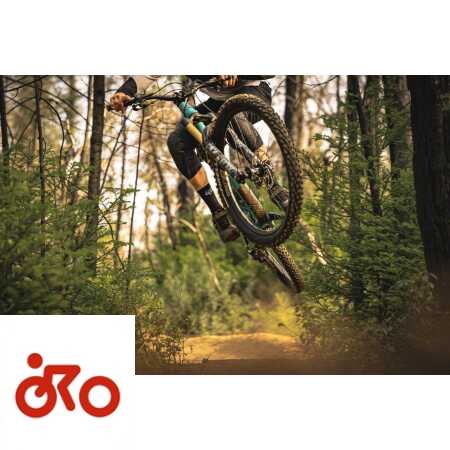 Ritratto di Stefano Aglianò