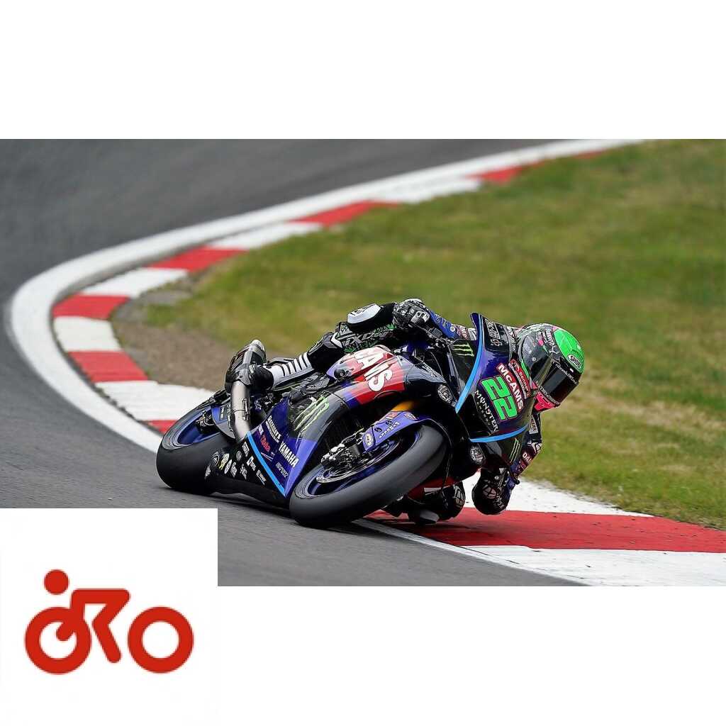 Ritratto di Andrea Periccioli