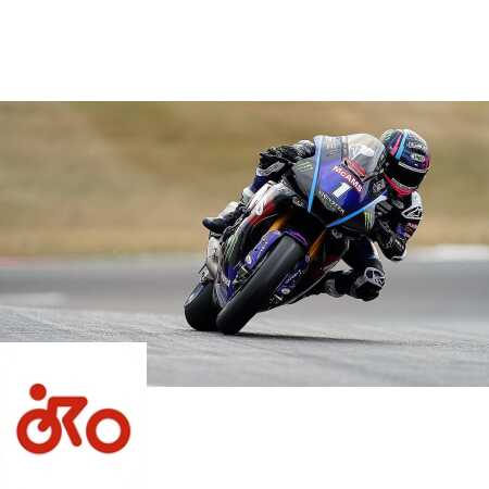 Ritratto di Andrea Periccioli