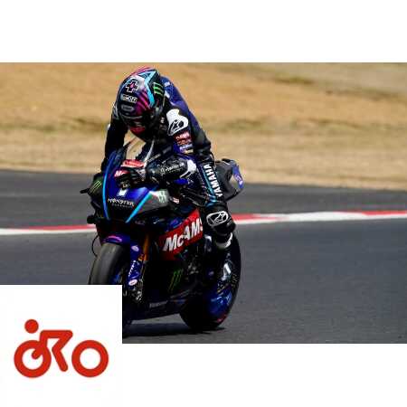 Ritratto di Andrea Periccioli