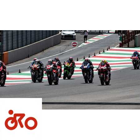 Ritratto di Andrea Periccioli