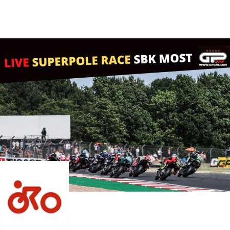 Ritratto di Riccardo Gugliemetti