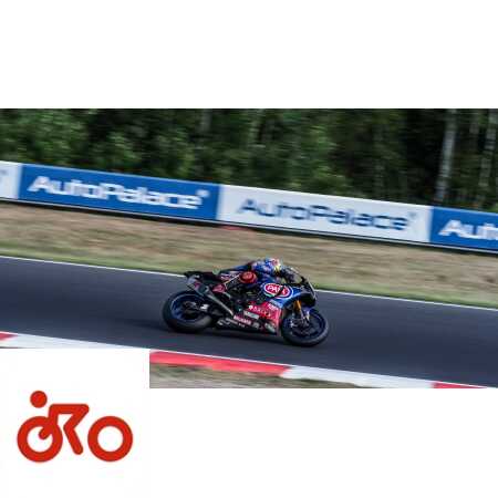 Ritratto di Riccardo Gugliemetti