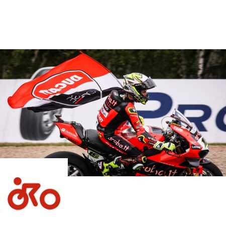 Ritratto di Riccardo Gugliemetti