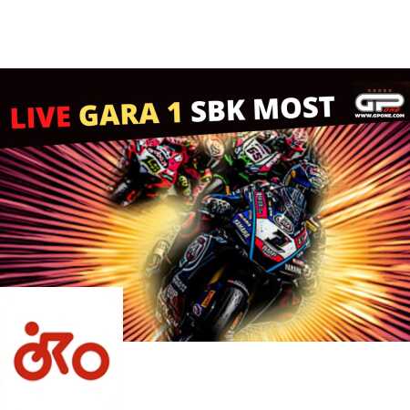 Ritratto di Riccardo Gugliemetti