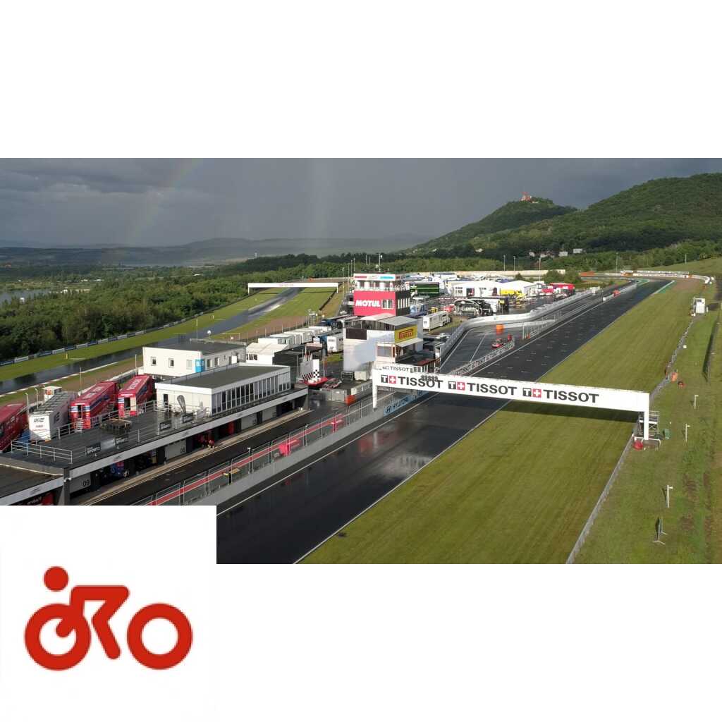 Ritratto di Riccardo Gugliemetti