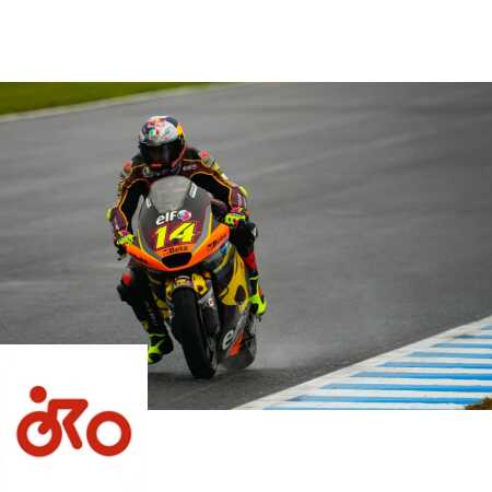 arbolino, moto2