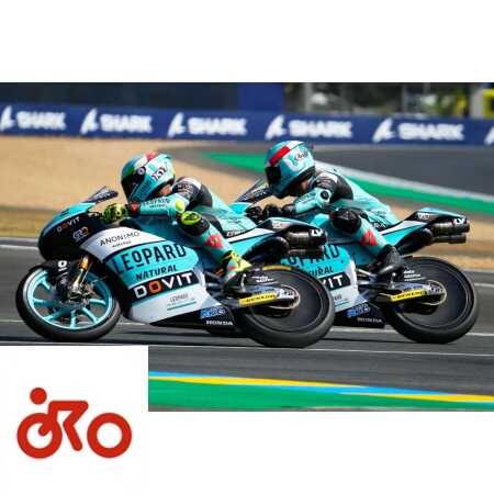 foggia suzuki, moto3