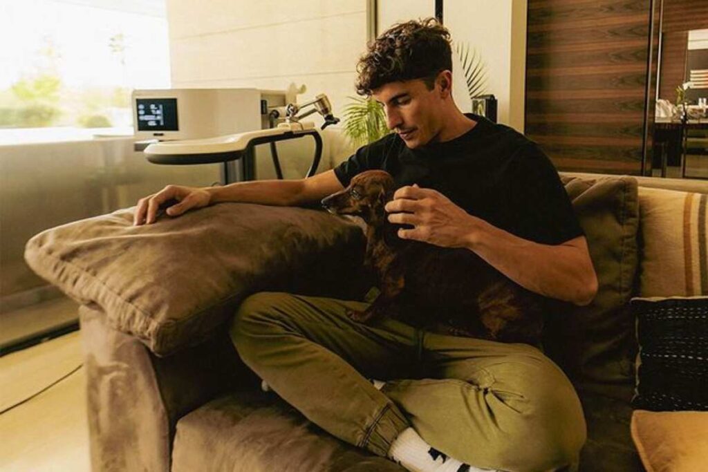 MotoGP, Marc Marquez