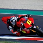 Ritratto di Andrea Periccioli