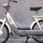Ritratto di GPone