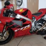 Ritratto di GPone