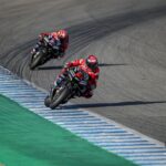 Ritratto di Matteo Aglio